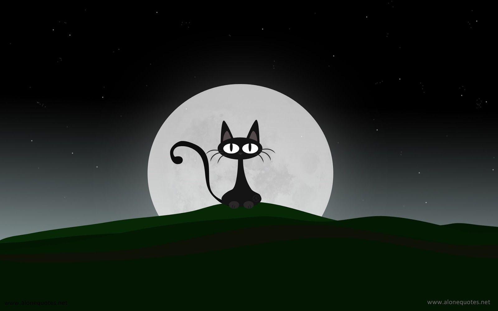 1600x1000 Halloween Cat Wallpaper HD