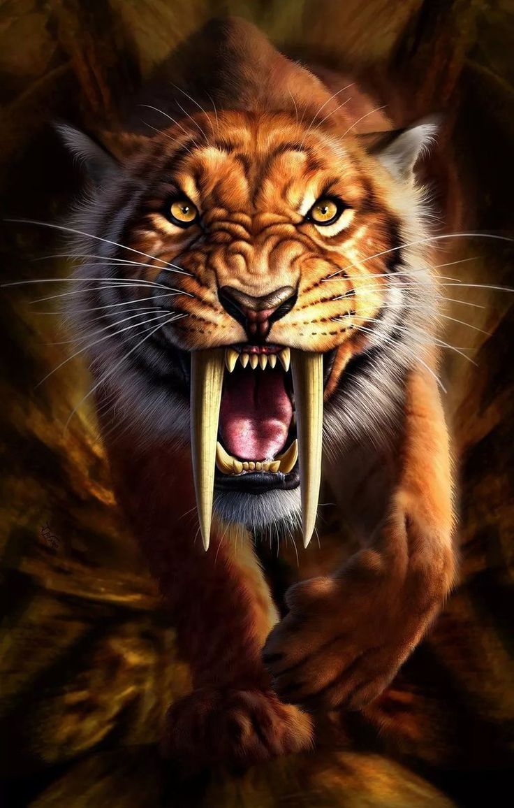 736x1156 Sabertooth