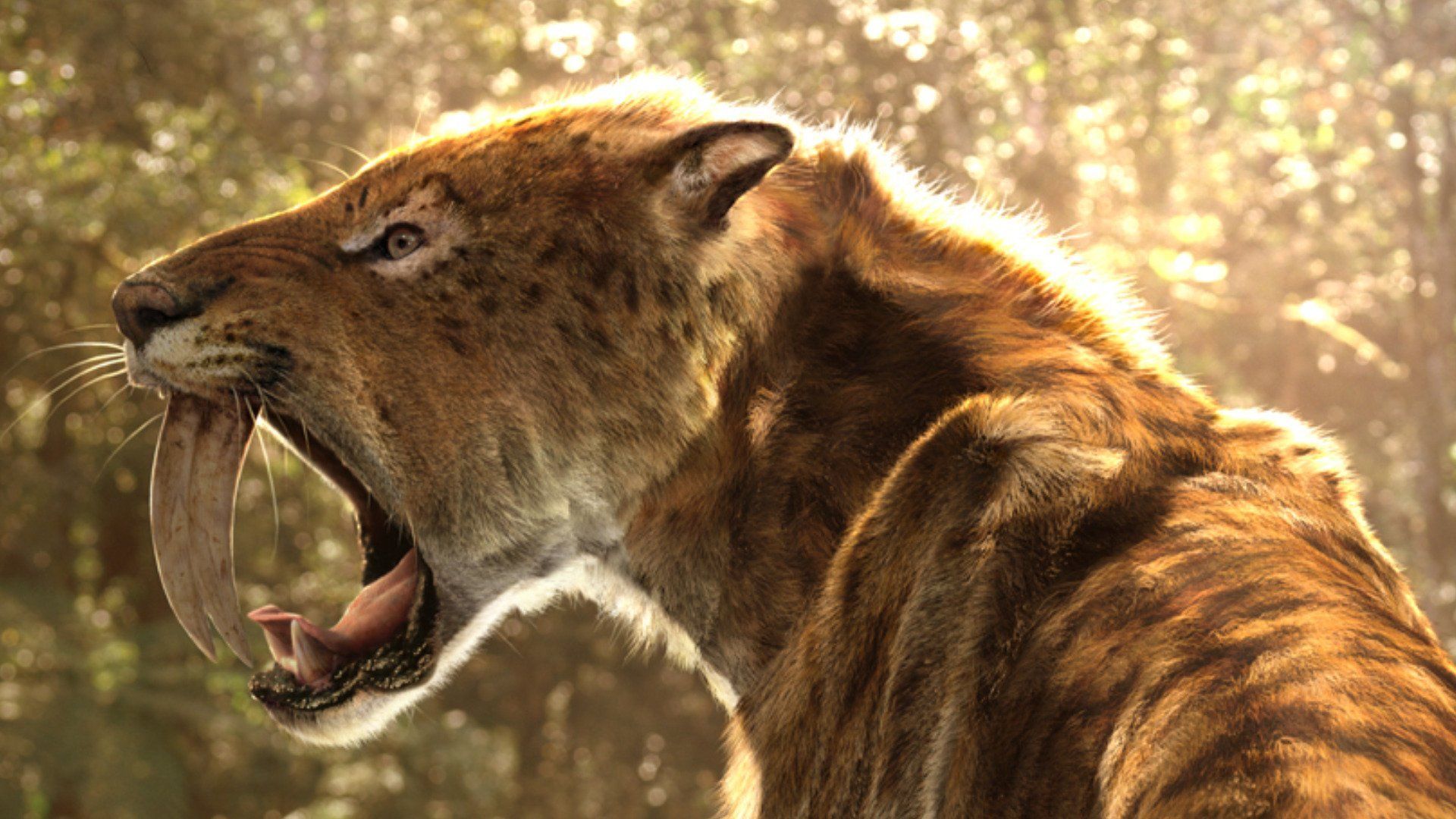 1920x1080 Download Saber Toothed Tiger Fantasy