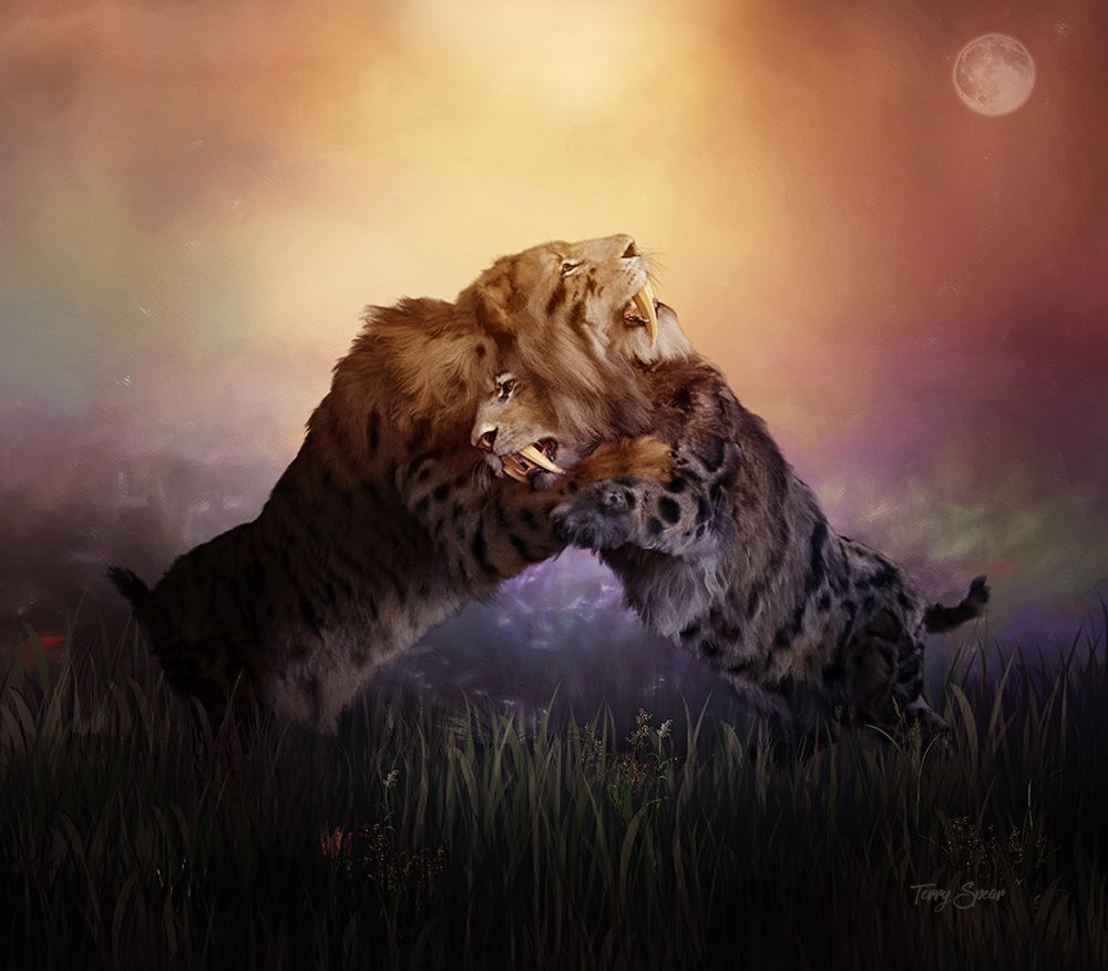 1000x876 Saber Tooth Tiger. Terry Spear's Shifters