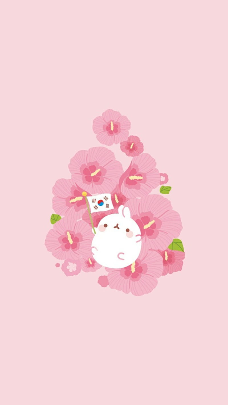 800x1422 HD korea spring wallpaper