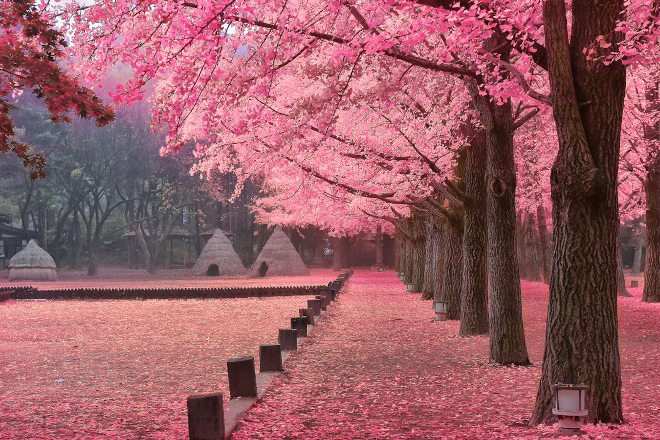 1350x900 Places to Enjoy the Flowers of Spring