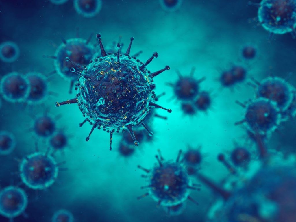 1024x768 in Virology and Disease Research