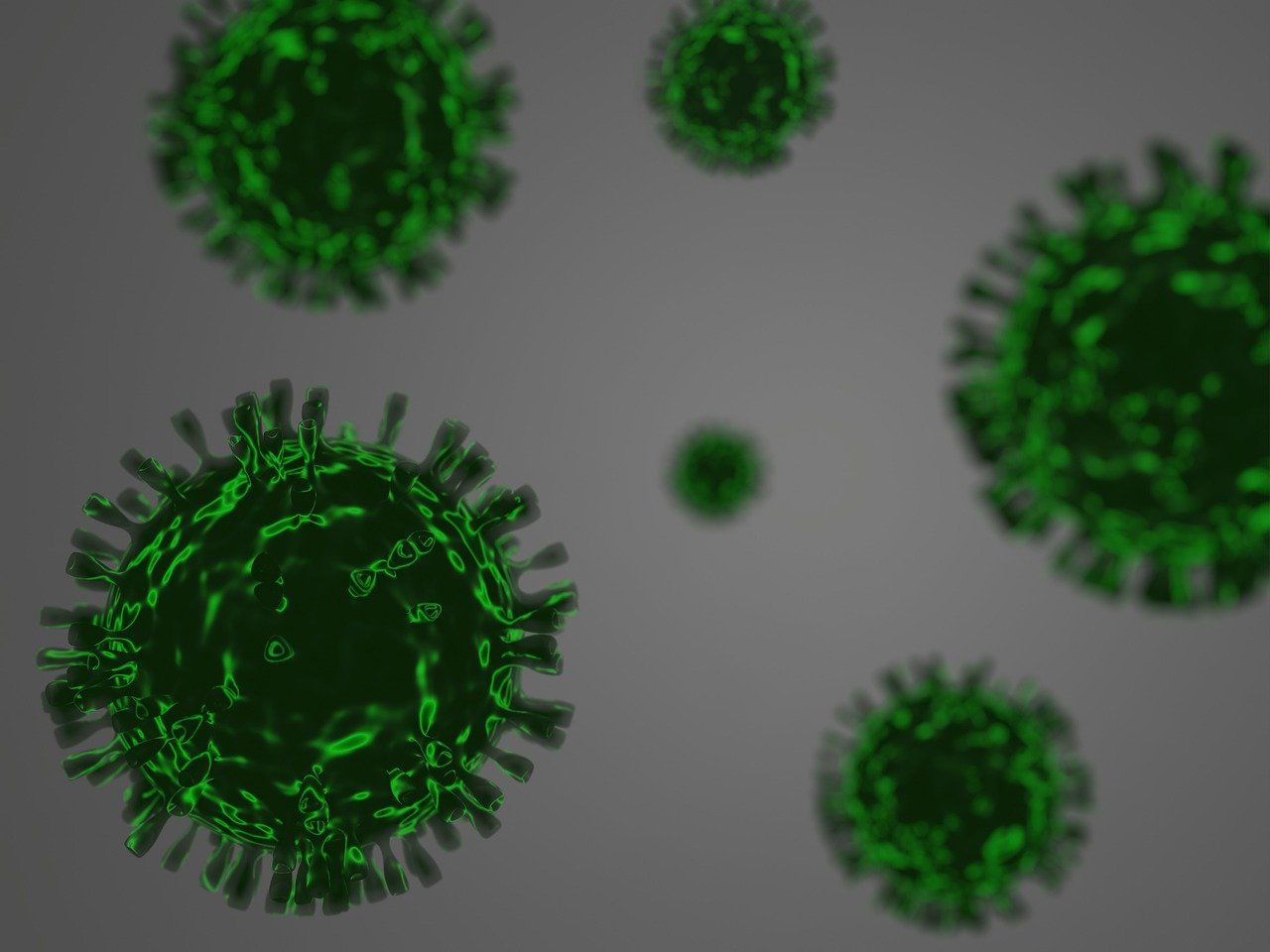 1280x960 Free Virology & Virus Image