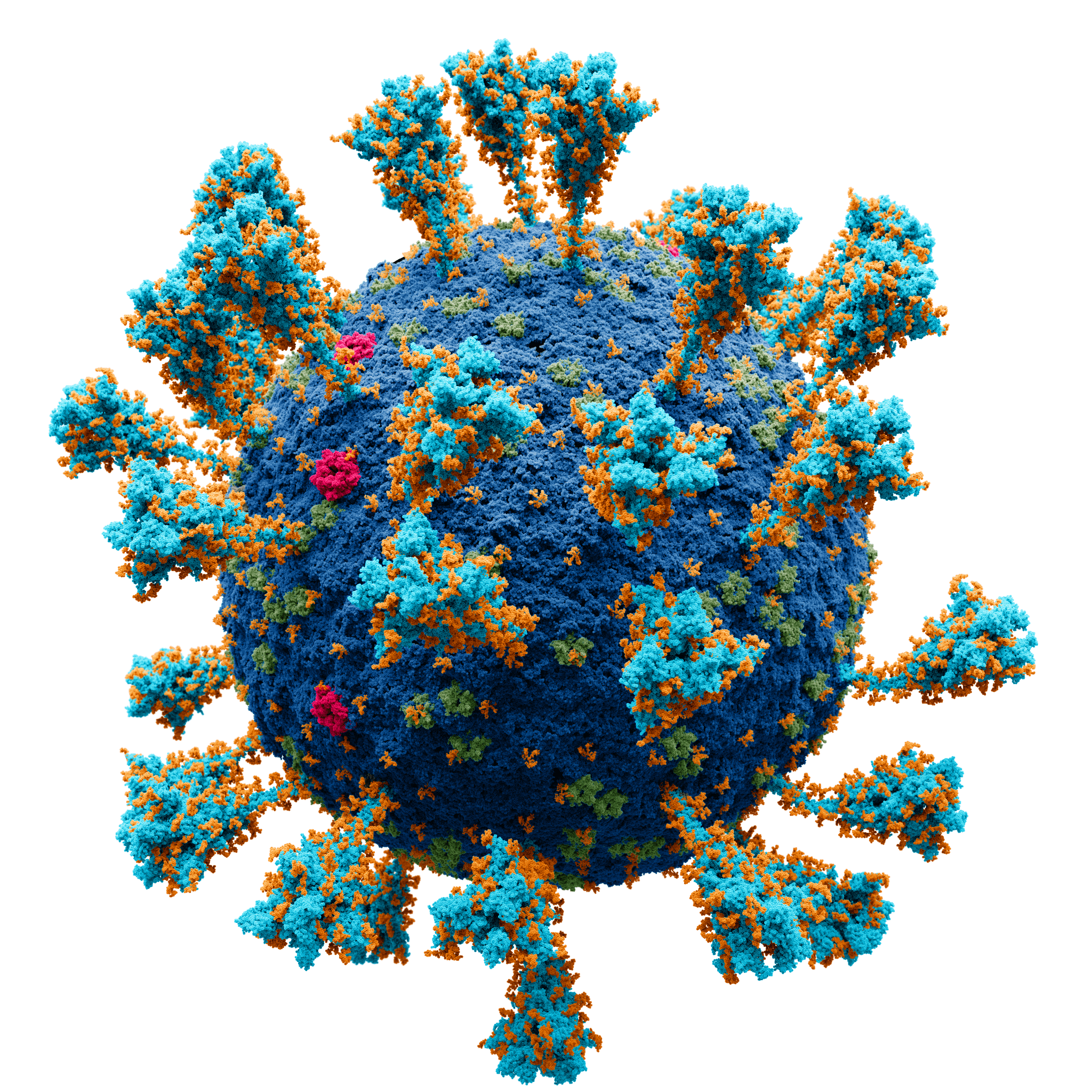 2048x2048 Virus