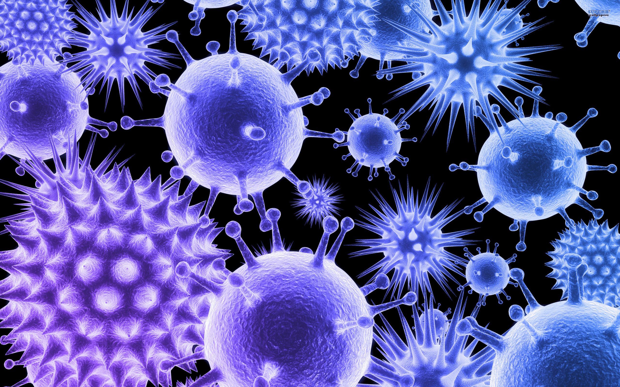 2560x1600 Virology Molecular Biology Cell Biology