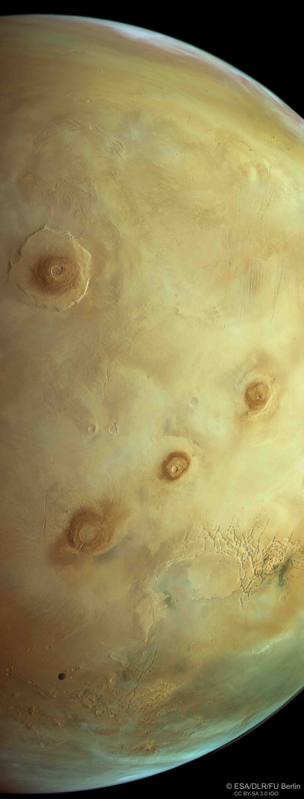 976x2560 Phobos photobombed the Mars Express
