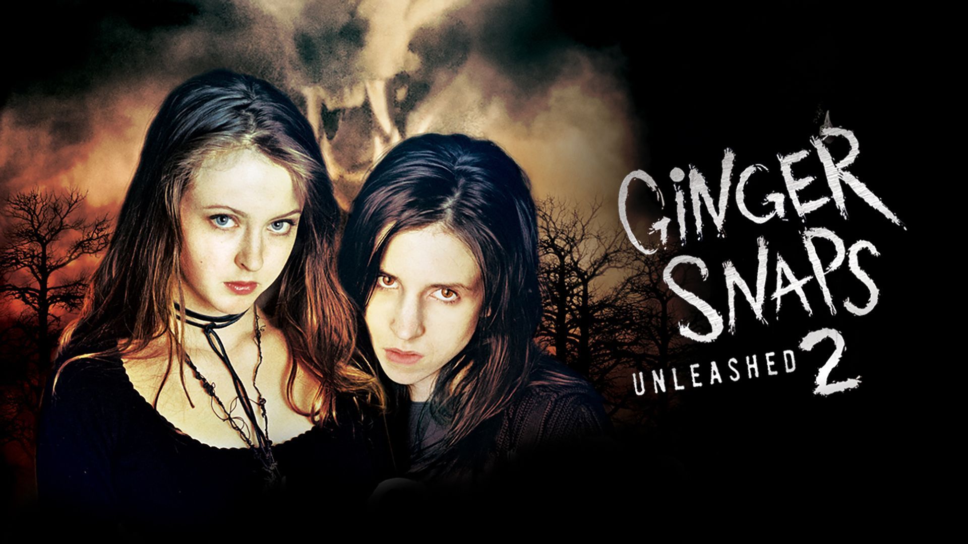 Ginger Snaps Wallpapers - Top Free Ginger Snaps Backgrounds ...