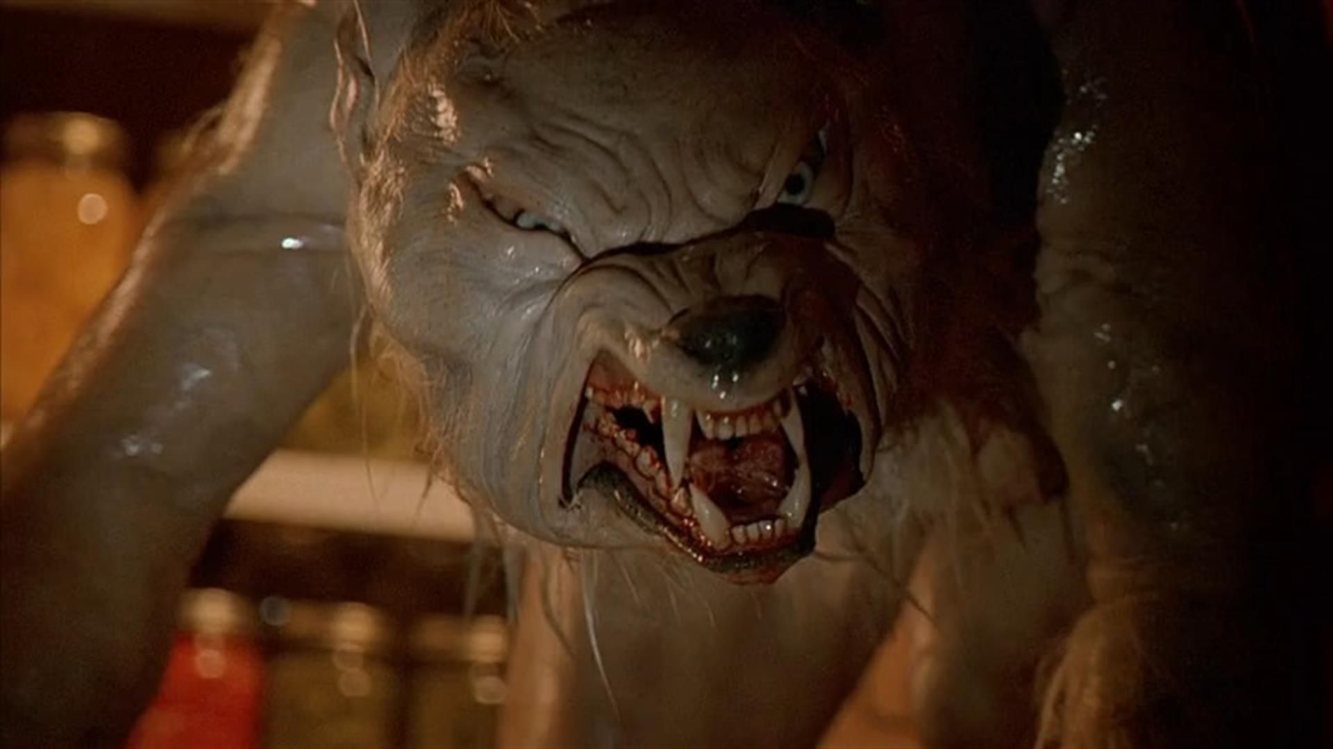 1920x1080 Watch Ginger Snaps online free