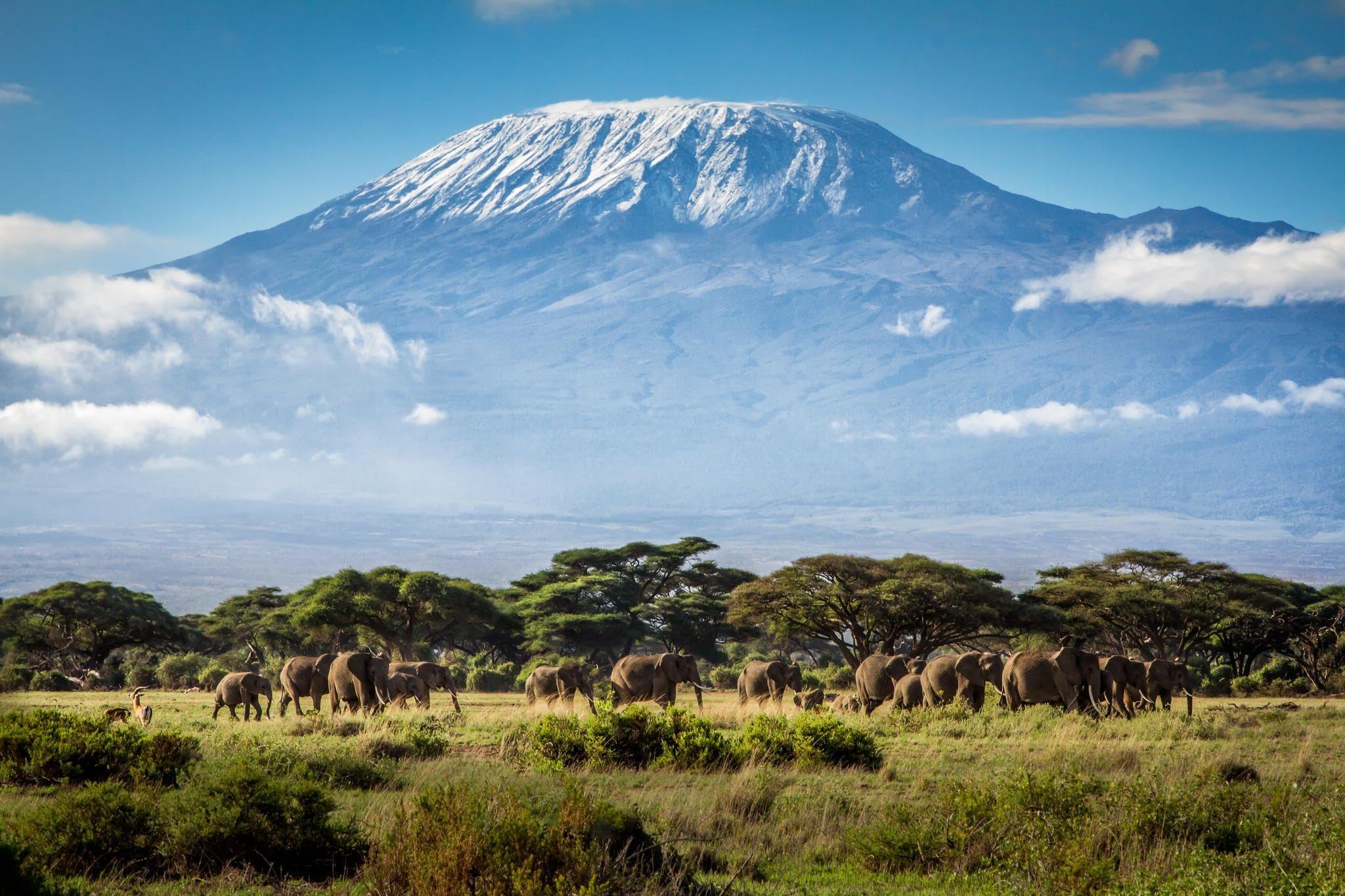 2048x1365 AirBnk Mount Kilimanjaro and Elephants