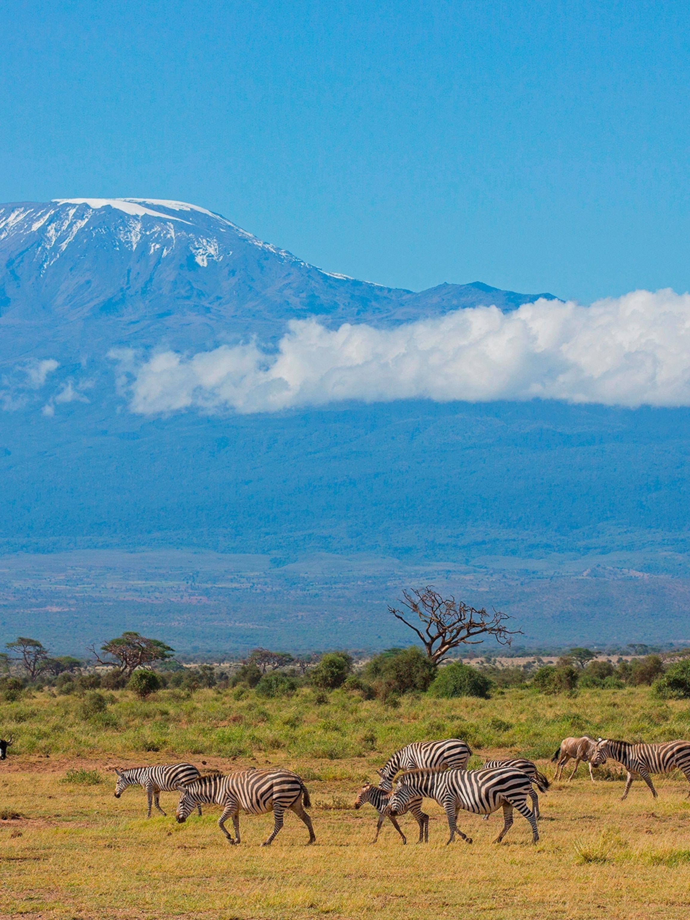 2305x3072 climbing Mount Kilimanjaro