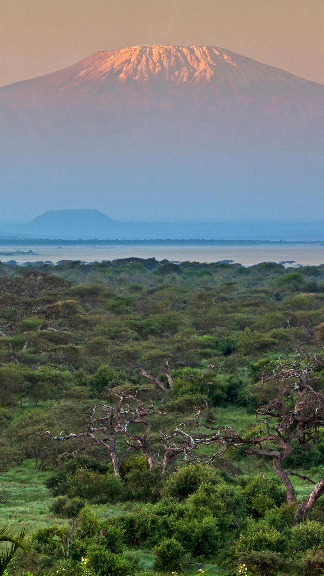 1080x1920 Mount Kilimanjaro from Chyulu Hills