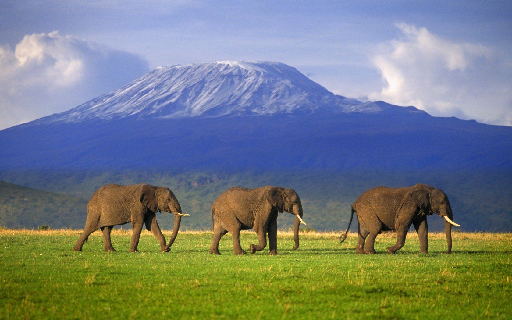 1680x1050 Mount Kilimanjaro Africa High