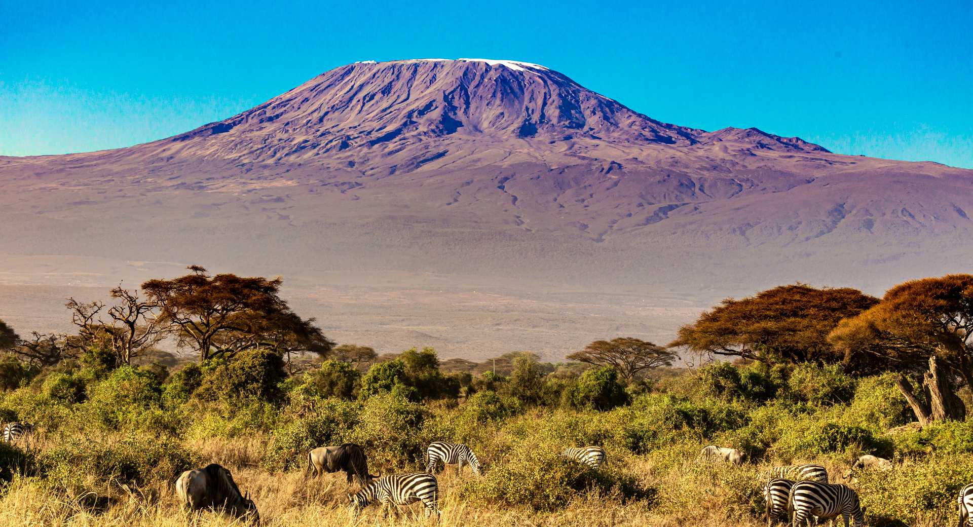 1920x1040 Kilimanjaro National Park. Kandoo