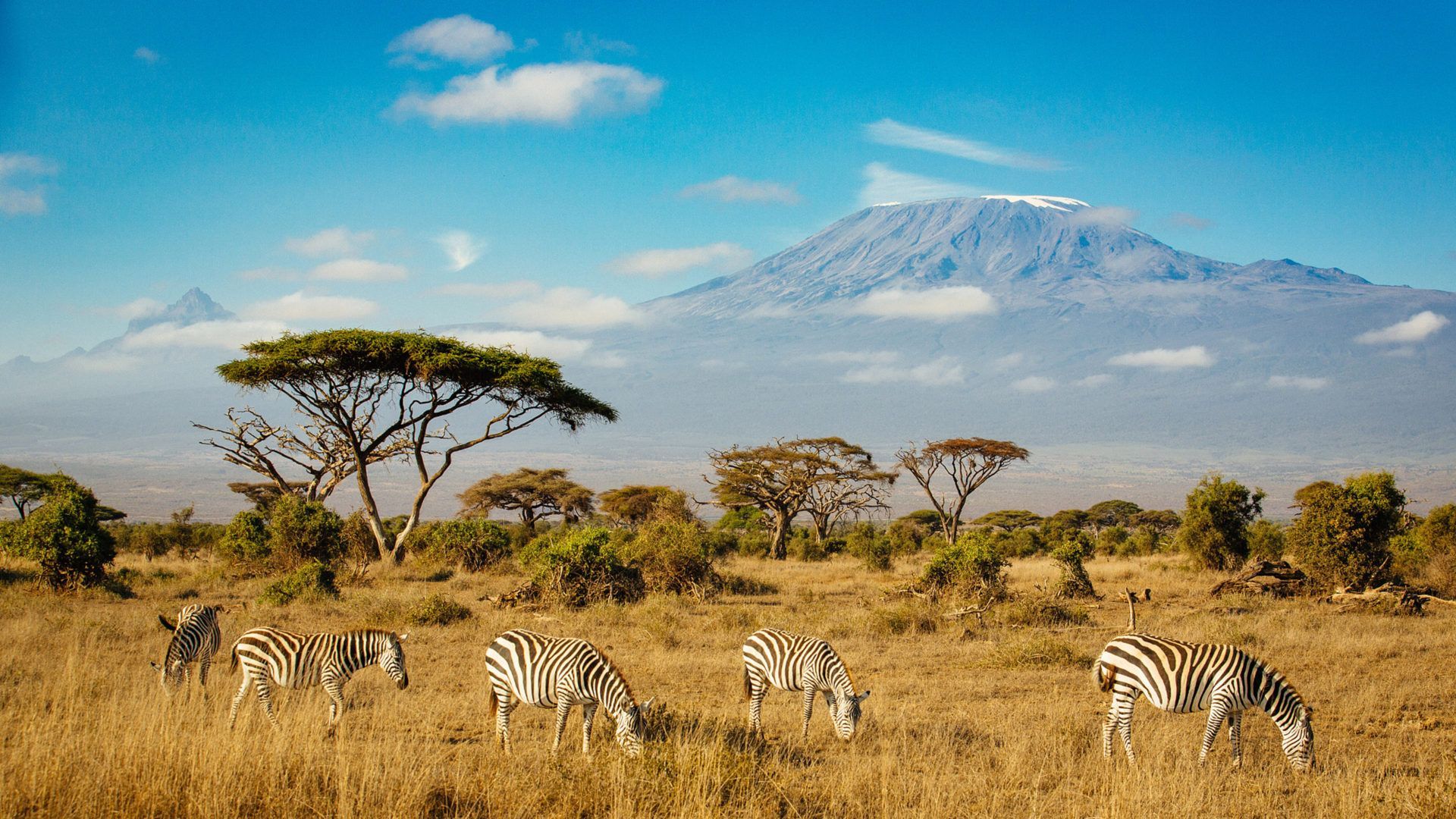 1920x1080 Kilimanjaro National Park