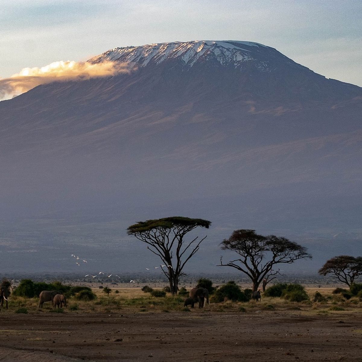1200x1200 Climbing Mount Kilimanjaro FAQs 2024