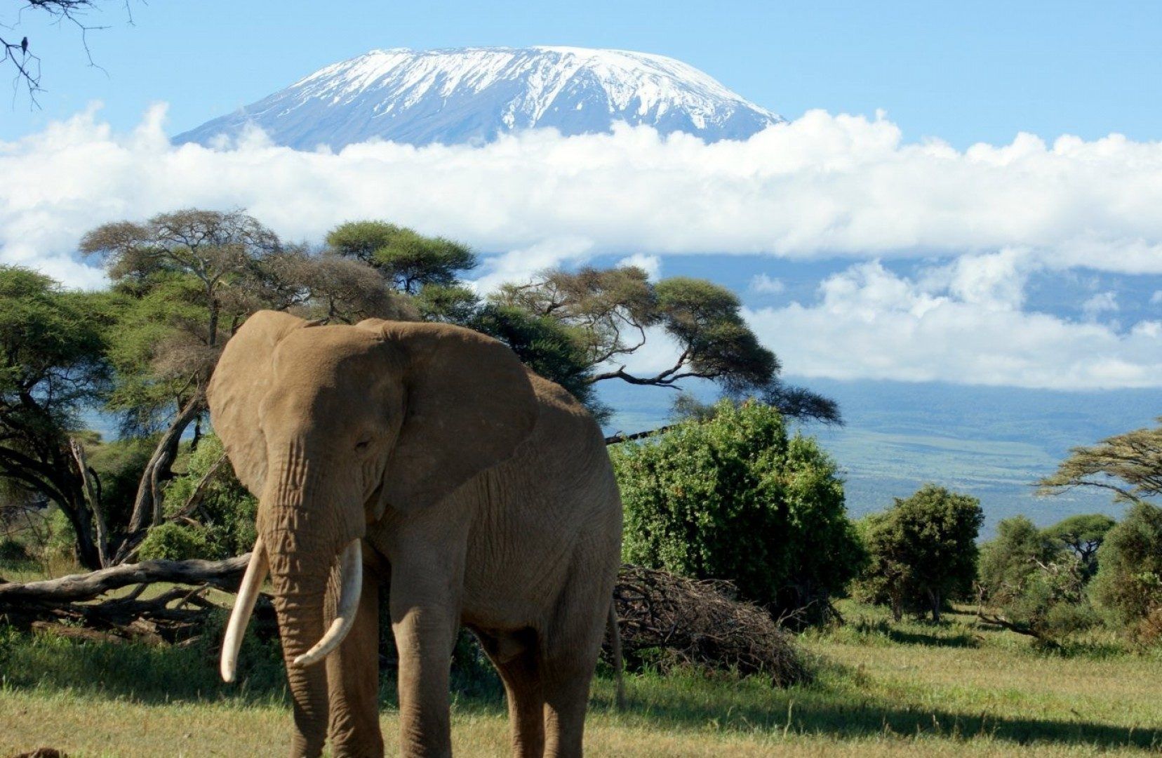 1656x1080 Kilimanjaro