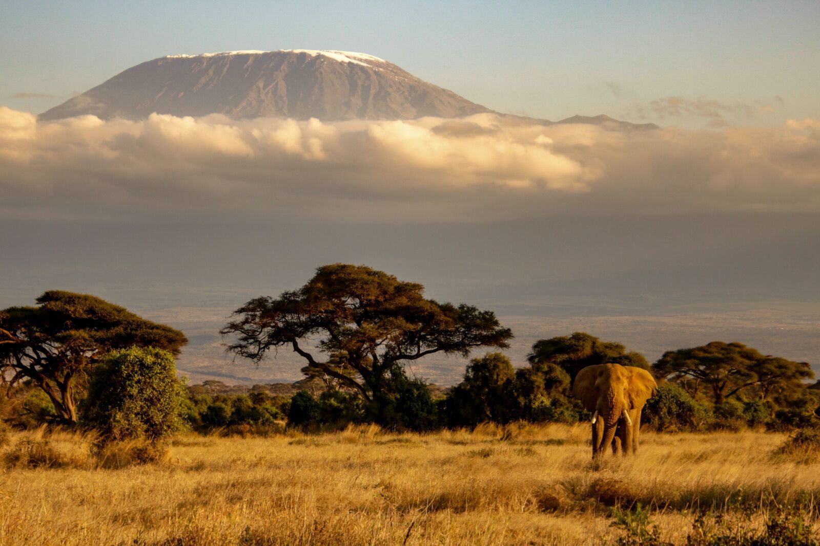 1600x1067 Hiking Mount Kilimanjaro? Read This