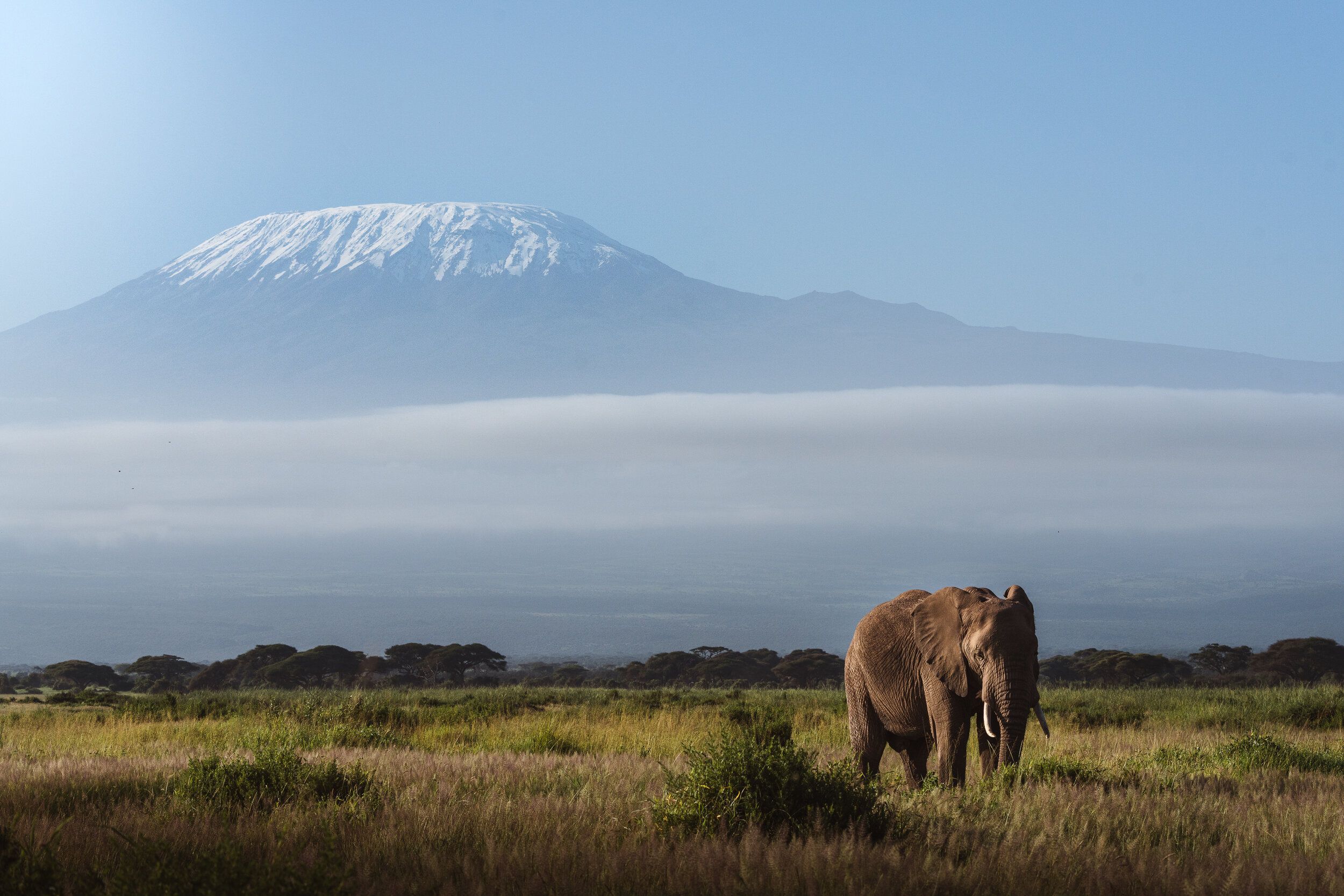 2500x1668 Luxury Tanzania Safaris