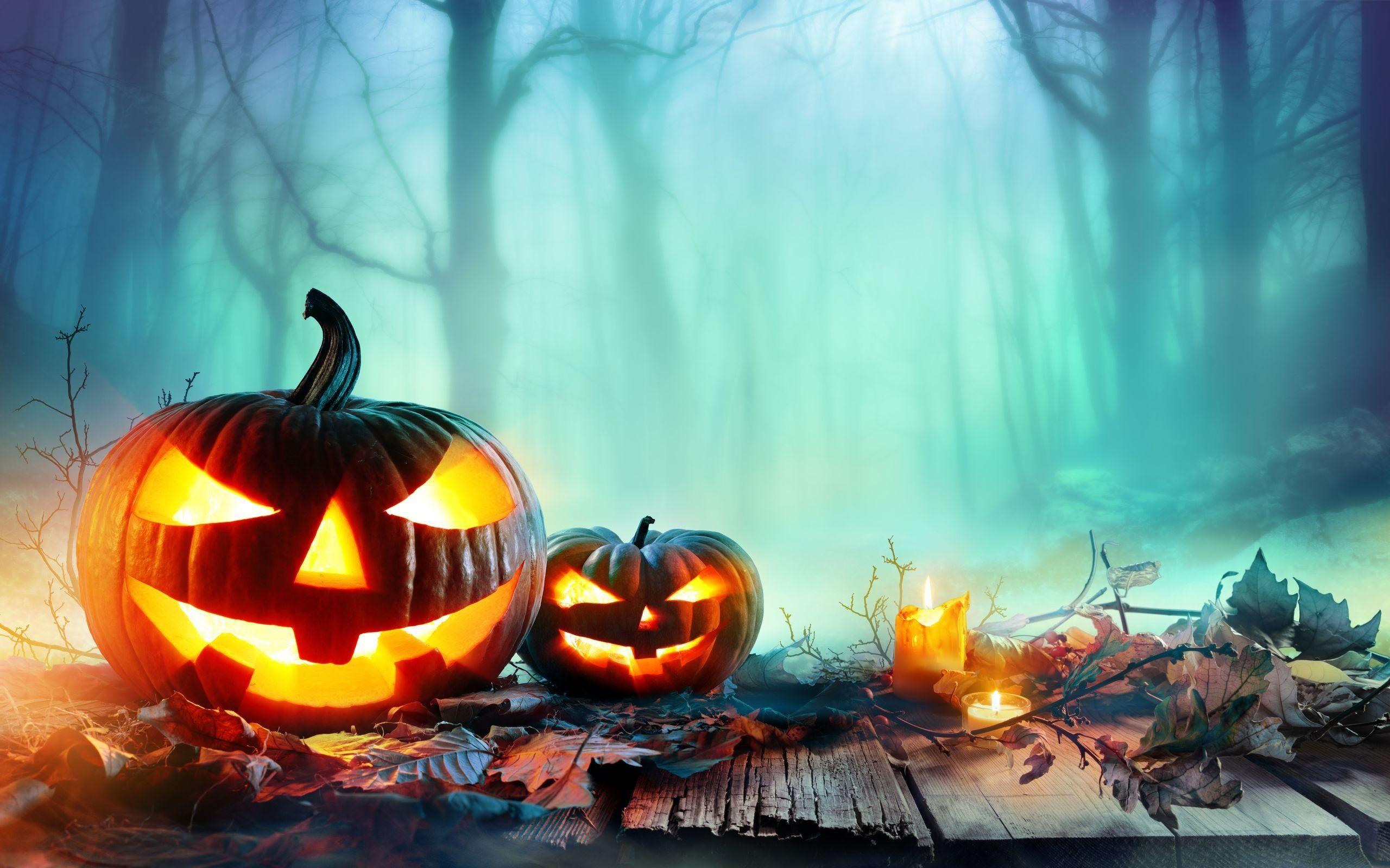 2560x1600 Wallpaper Halloween, pumpkin lantern, forest, night, fog