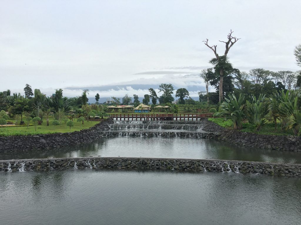 1024x768 Equatorial Guinea is the Weirdest