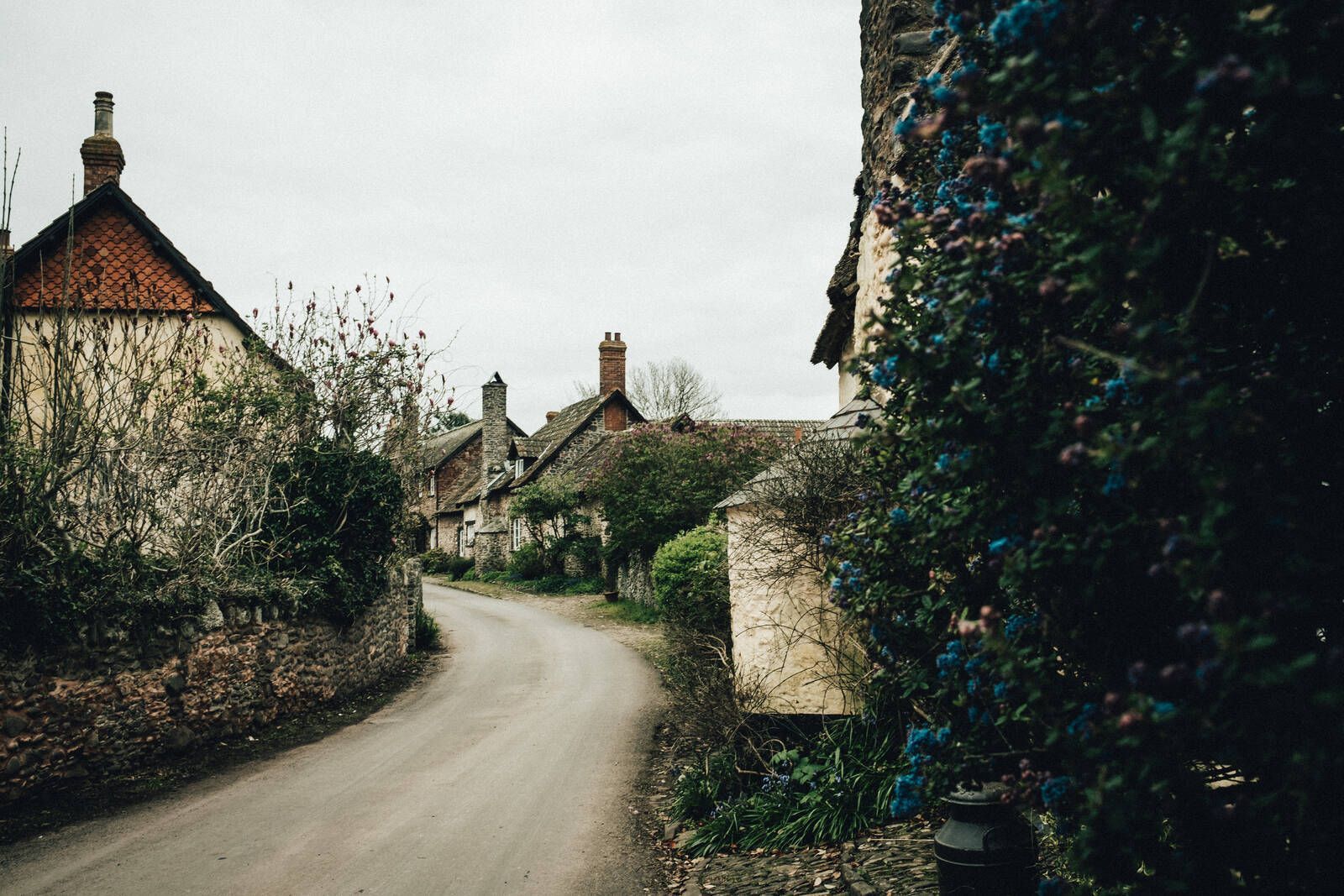 1600x1067 Image of Bossington Village