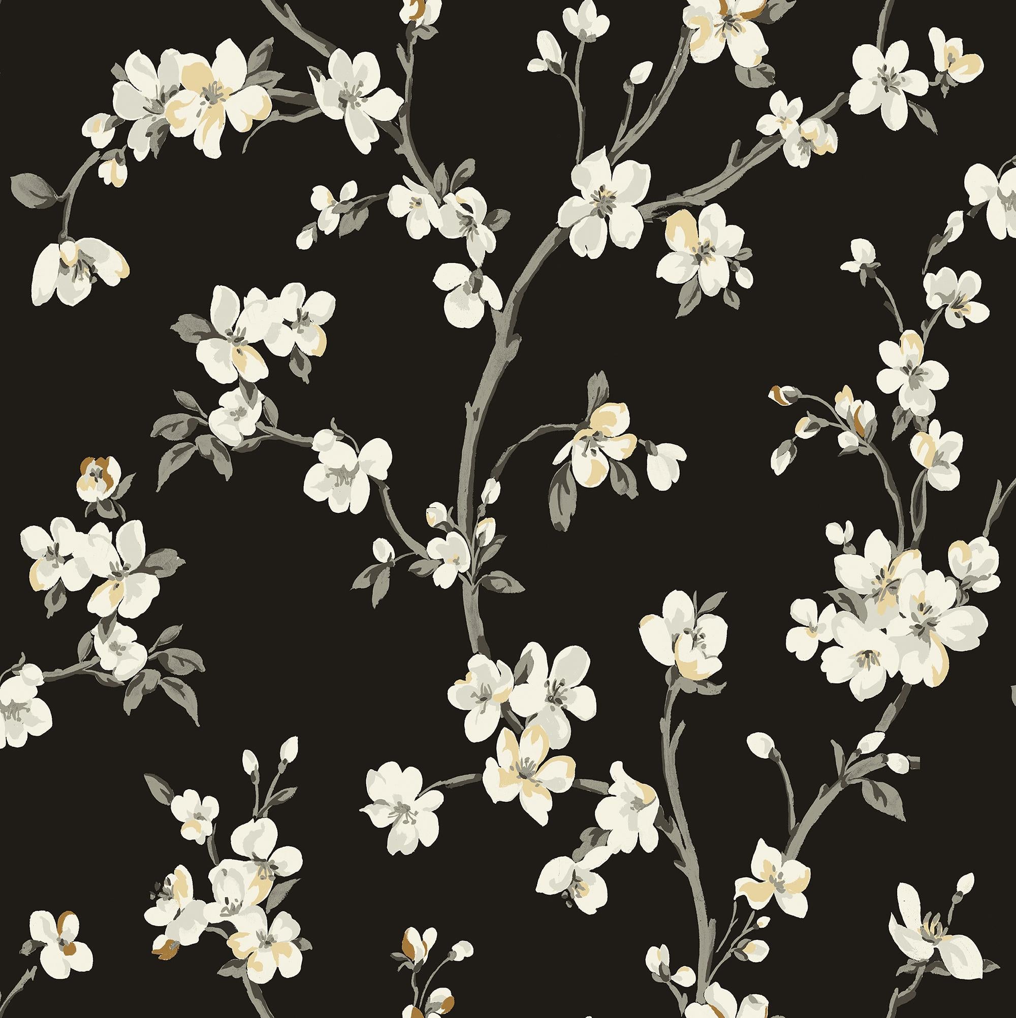 2000x2005 Surface Style Sakura Noir Wallpaper
