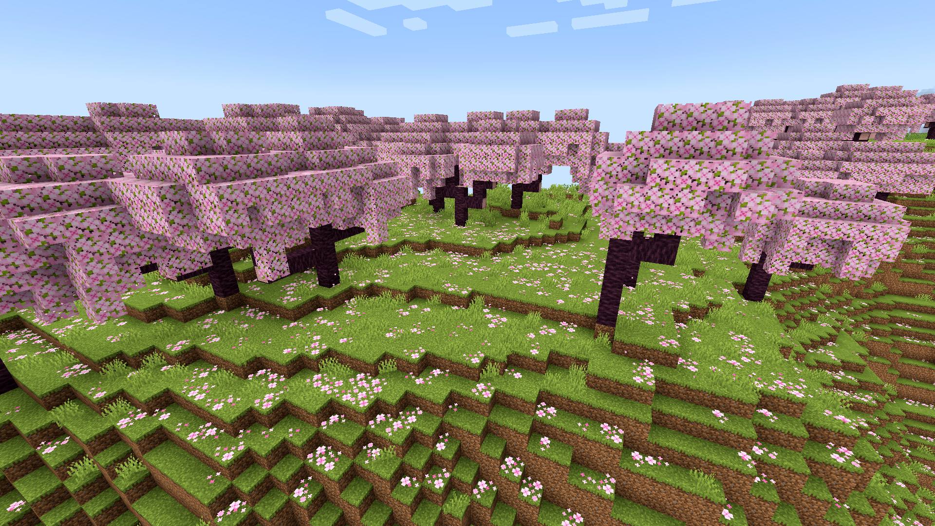 1920x1080 Minecraft cherry blossom tree to find and how to grow them
