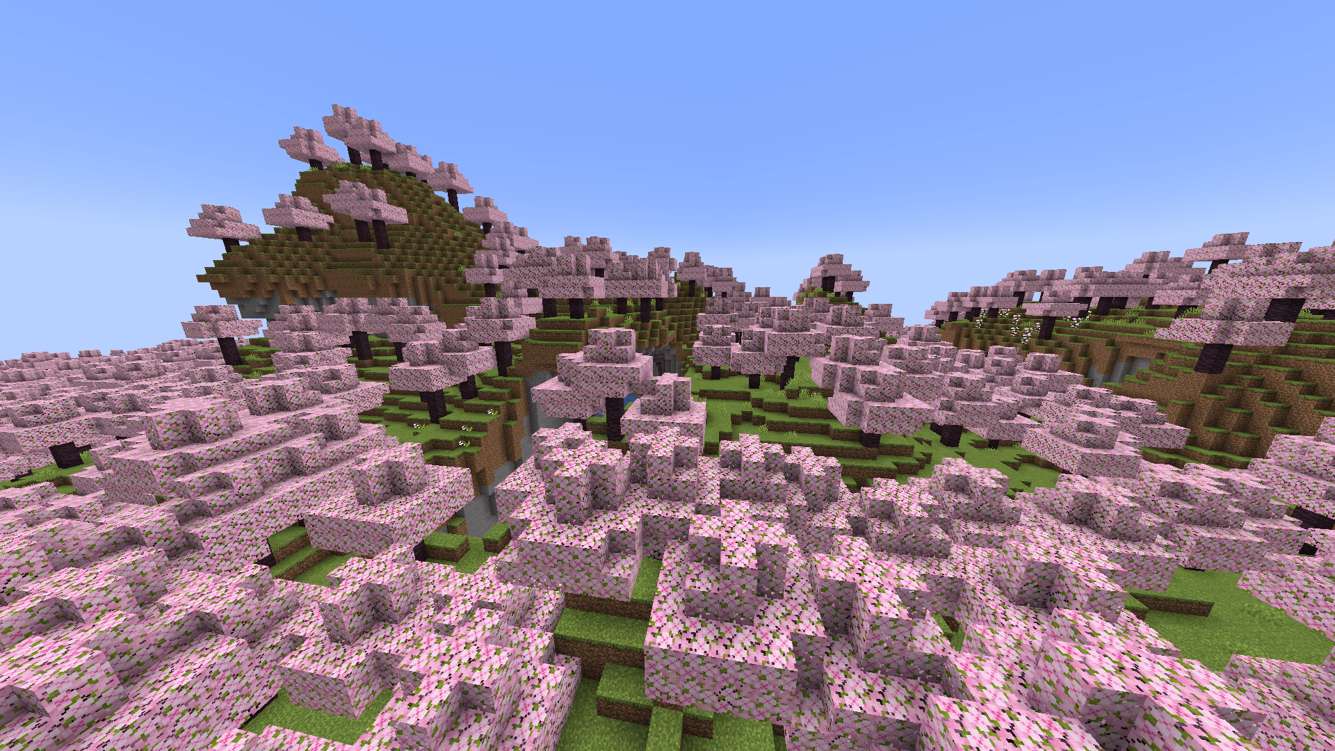 1920x1080 Birch to Cherry Blossom