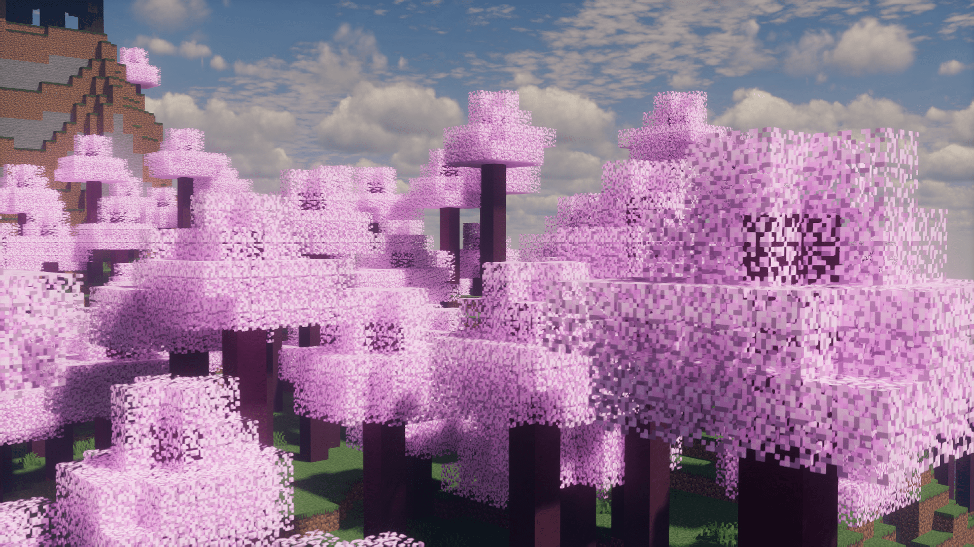 1920x1080 Birch to Natural Cherry Blossoms Resource Packs