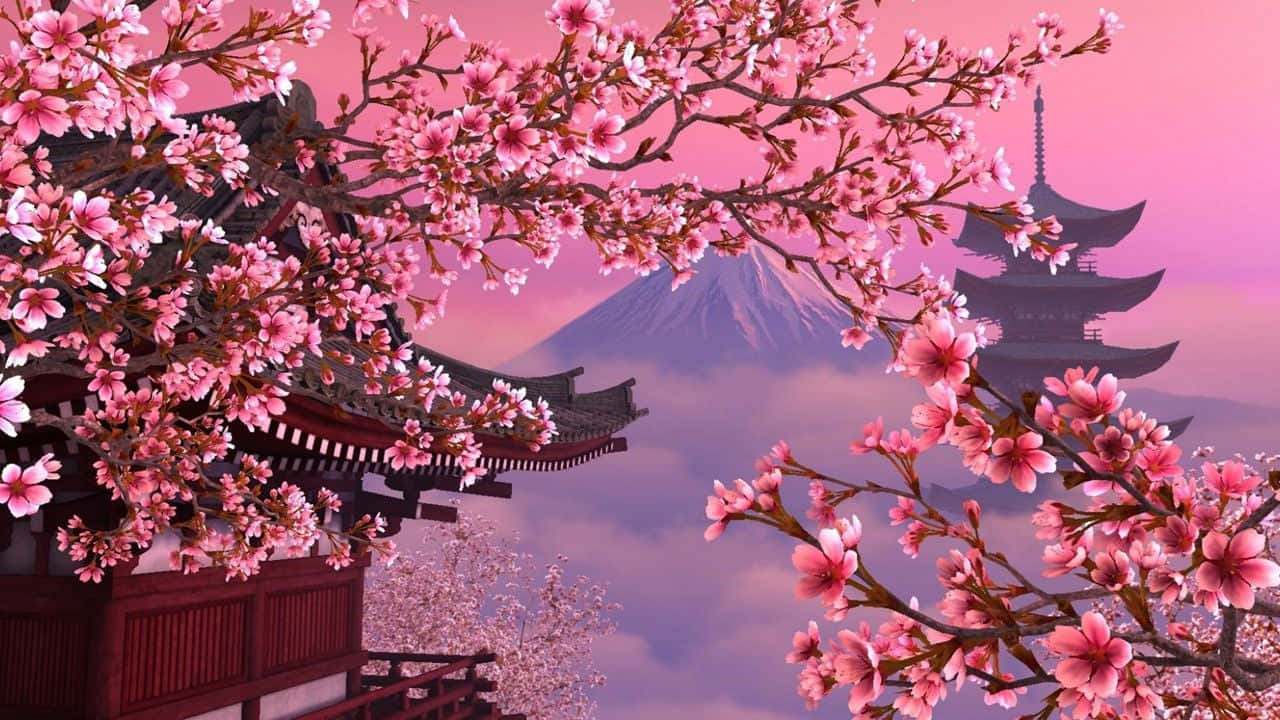 1280x720 Cherry Blossom Wallpaper