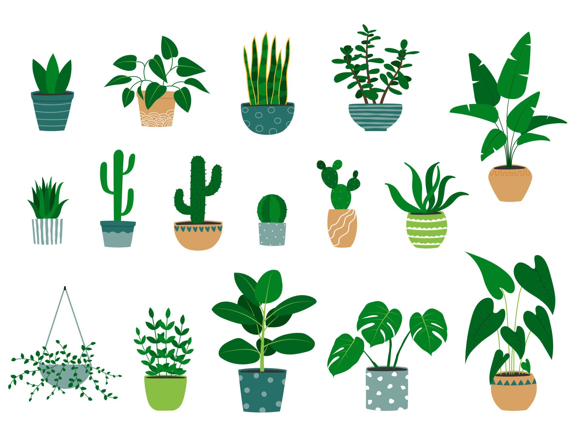 1920x1440 Set of hand drawn houseplants