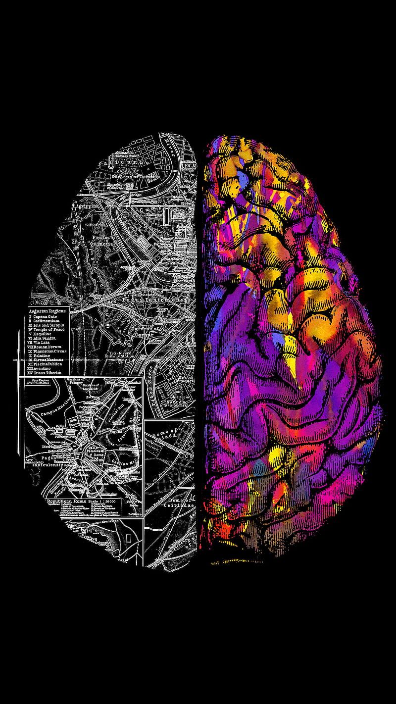 800x1422 HD brains wallpaper