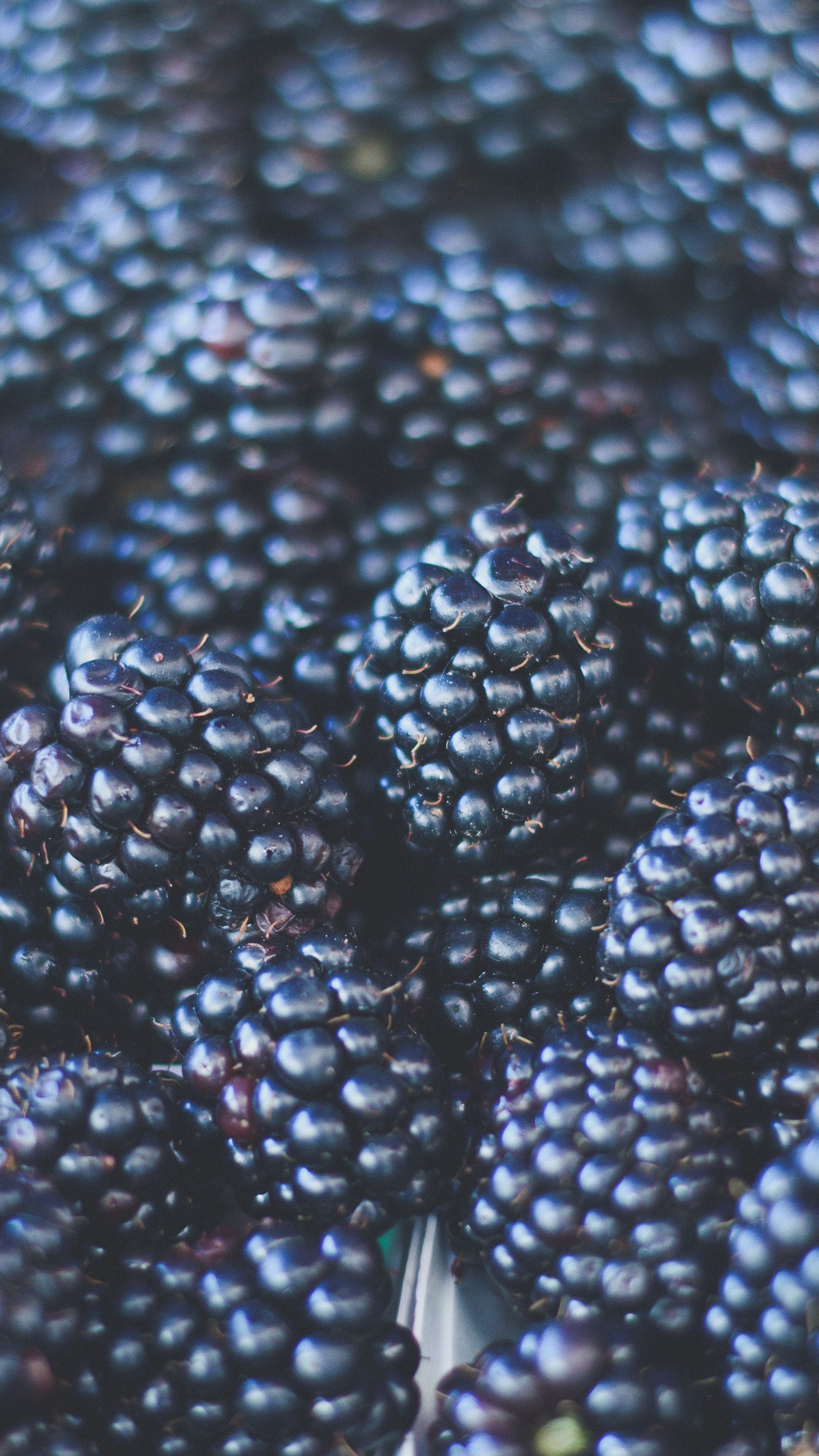 2160x3840 Blackberry Wallpaper 39 image