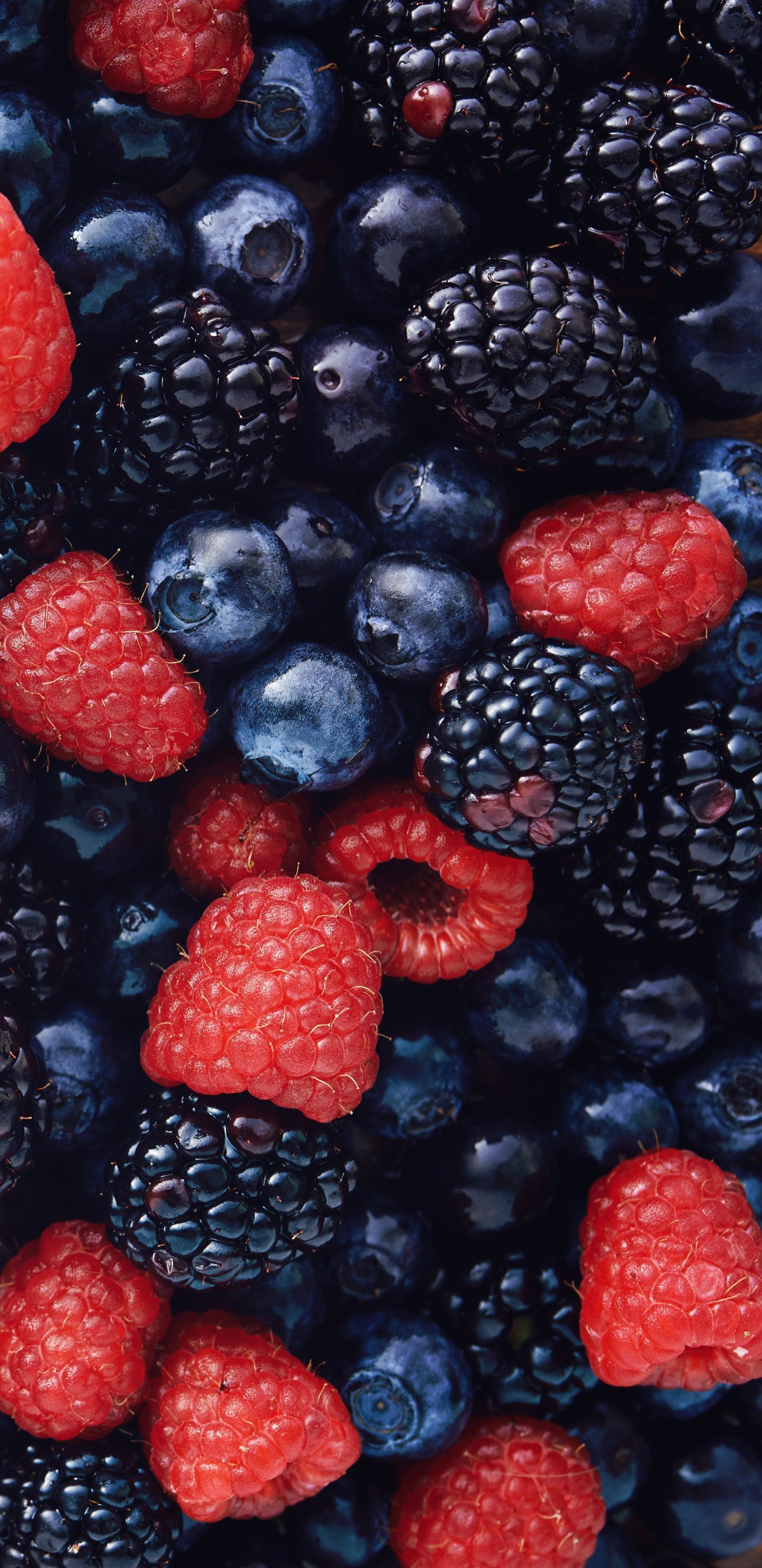 1440x2960 Blackberry Wallpaper 39 image
