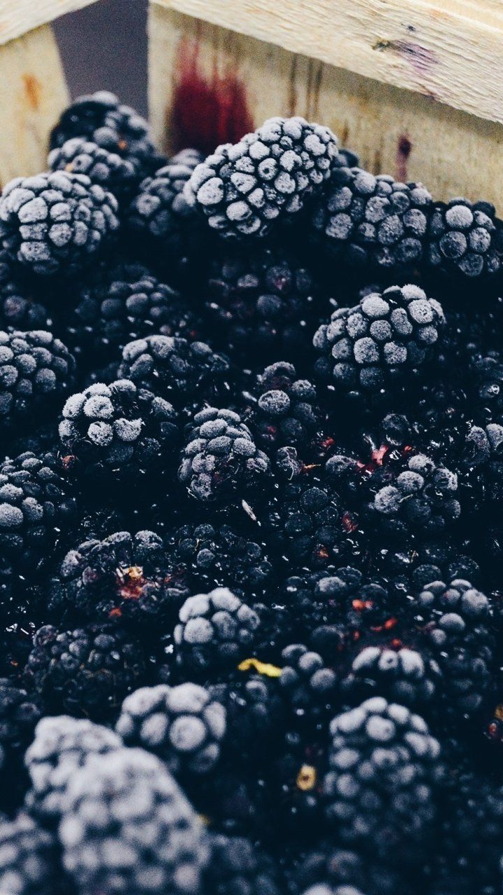 720x1280 Download Fruit Berry Food Blackberry
