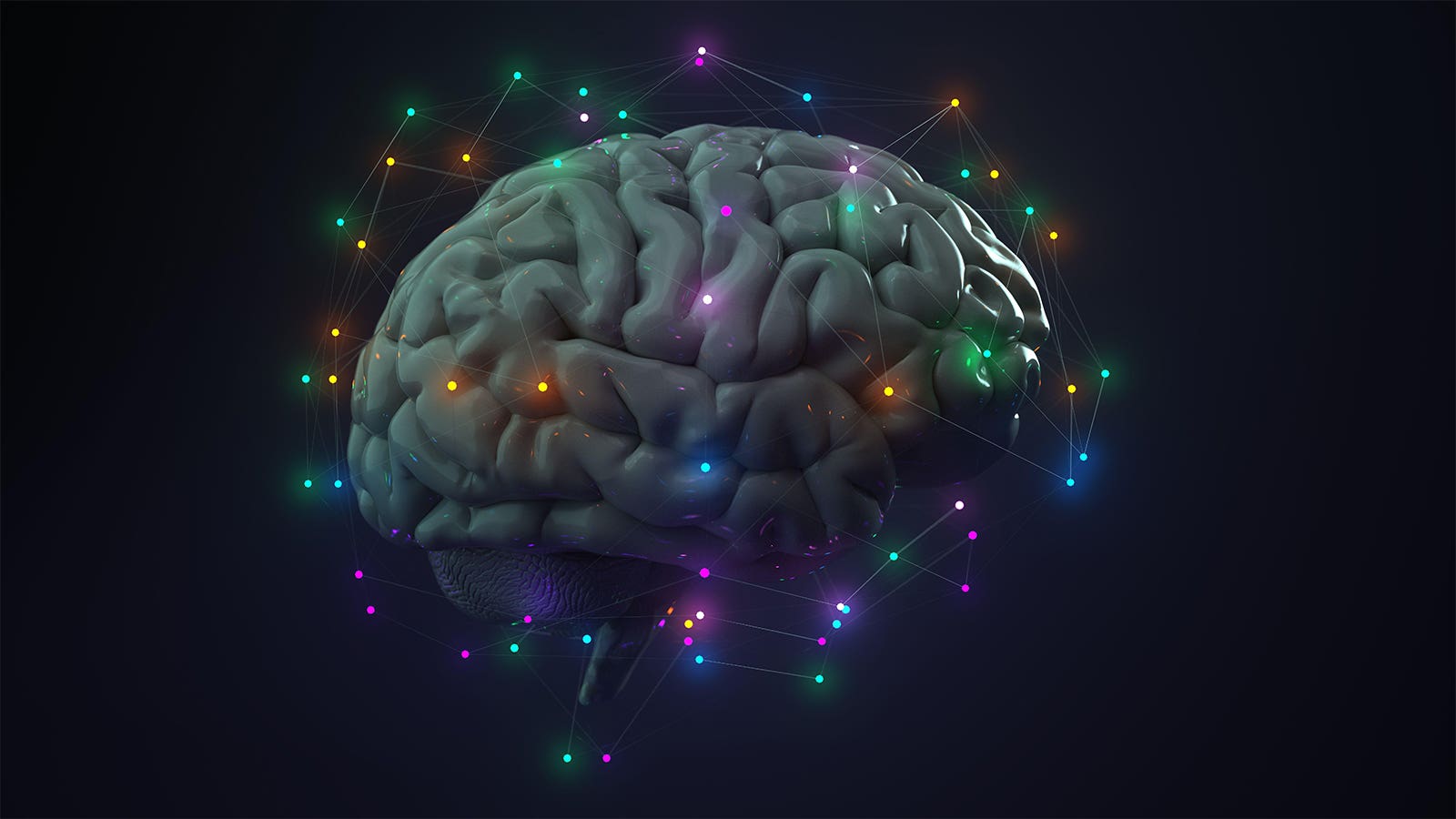 1600x900 Decoding The Brain's Decision Making