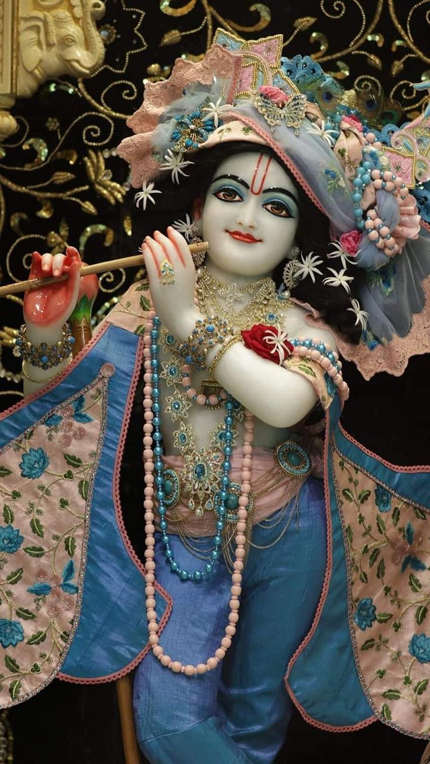 850x1511 smartphones, Krishna HD phone wallpaper