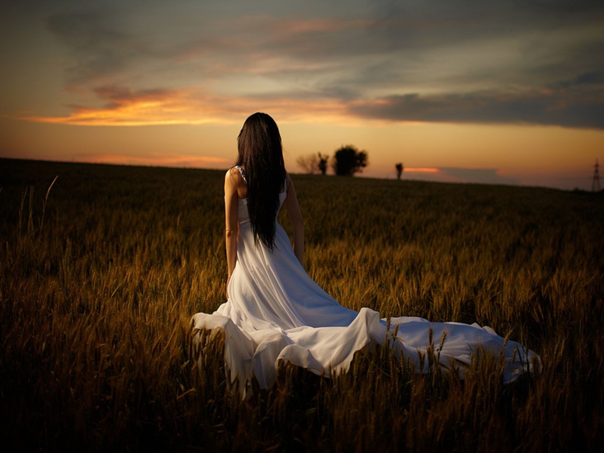 1920x1440 Wallpaper the sky, grass, trees, nature