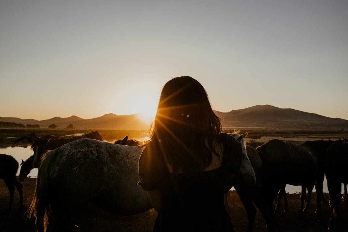 1125x750 Pasture at Sunset · Free