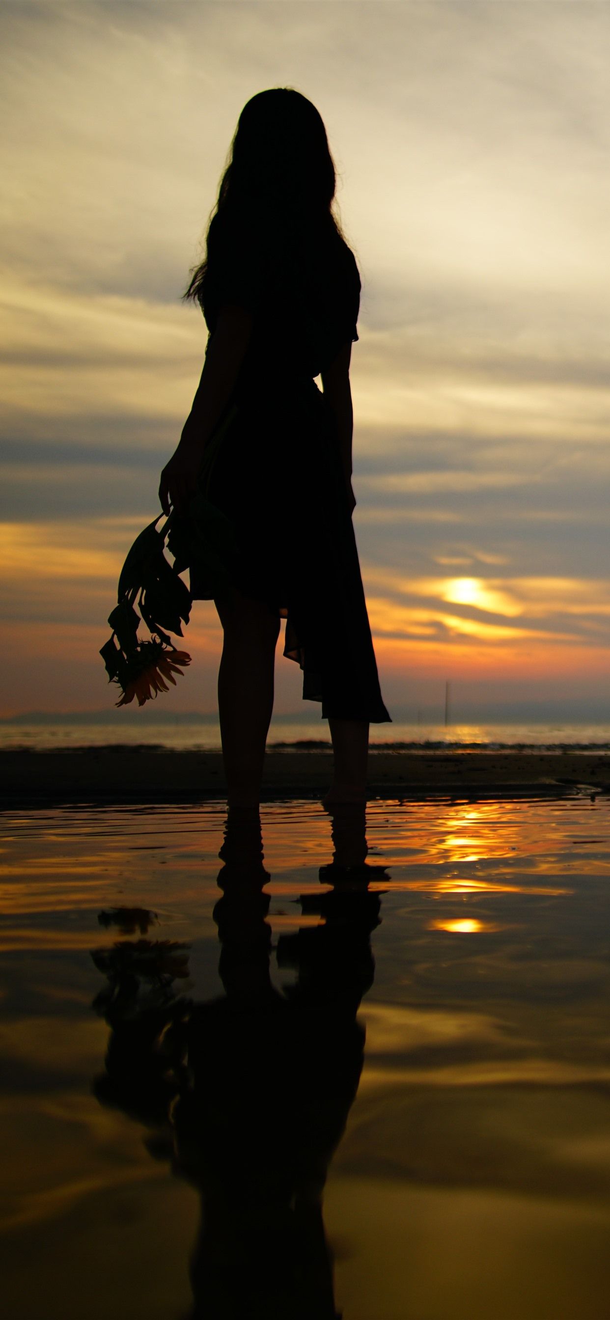 1242x2688 Girl Back View, Silhouette, Beach, Sea, Sunset 1242x2688 IPhone 11 Pro XS Max Wallpaper, Background, Picture, Image