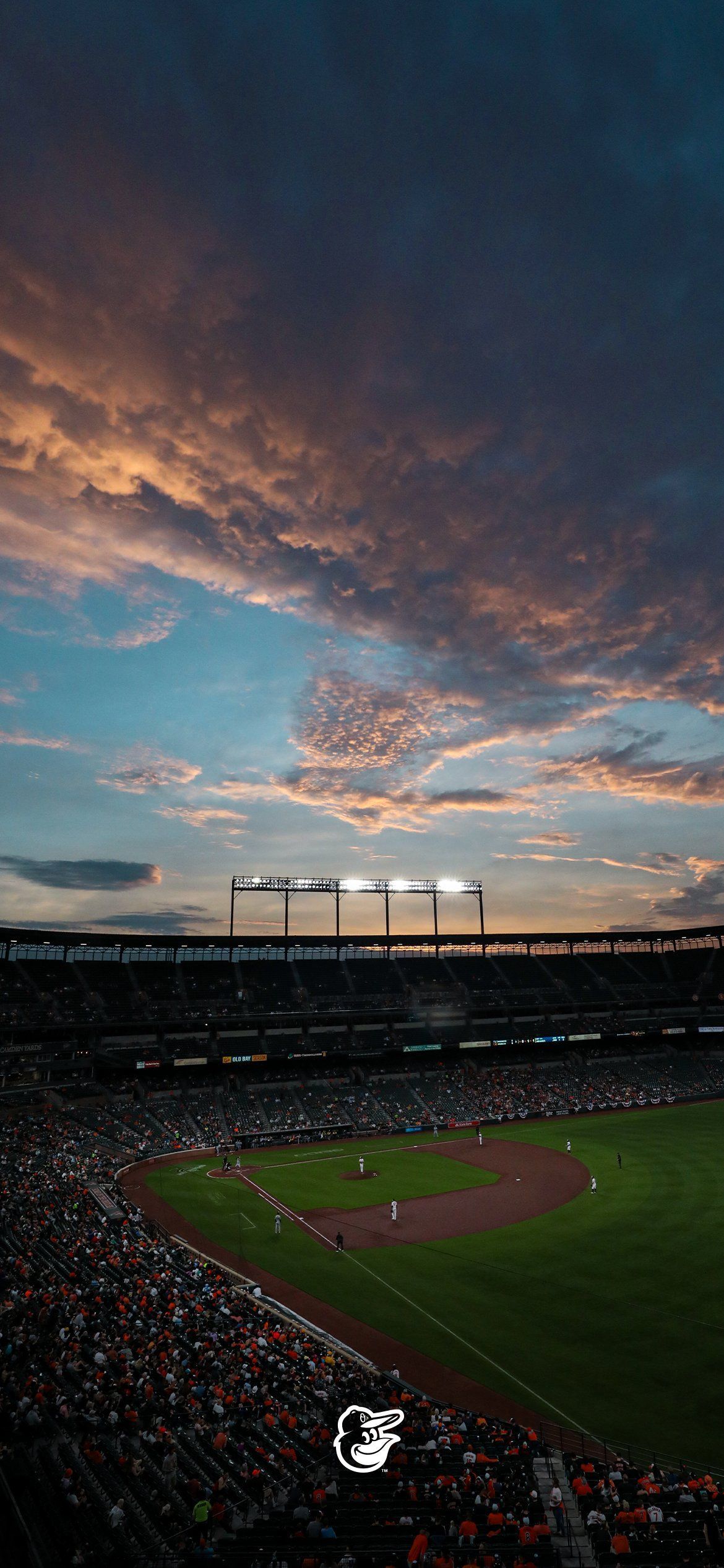 1170x2532 Baltimore Orioles on X: Missing those