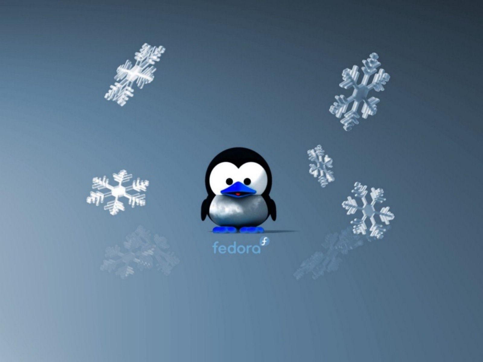 1600x1200 Winter Christmas Fedora Wallpaper Linux Snow Over The Desktop