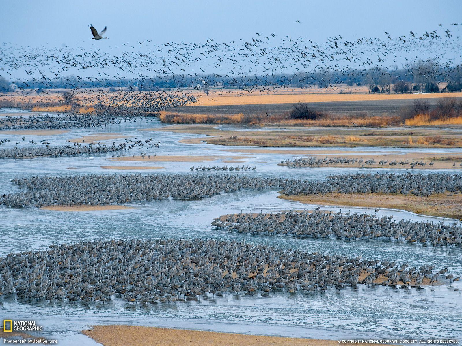 1600x1200 Photo of the Day. Rivers, National geographic and Homeland