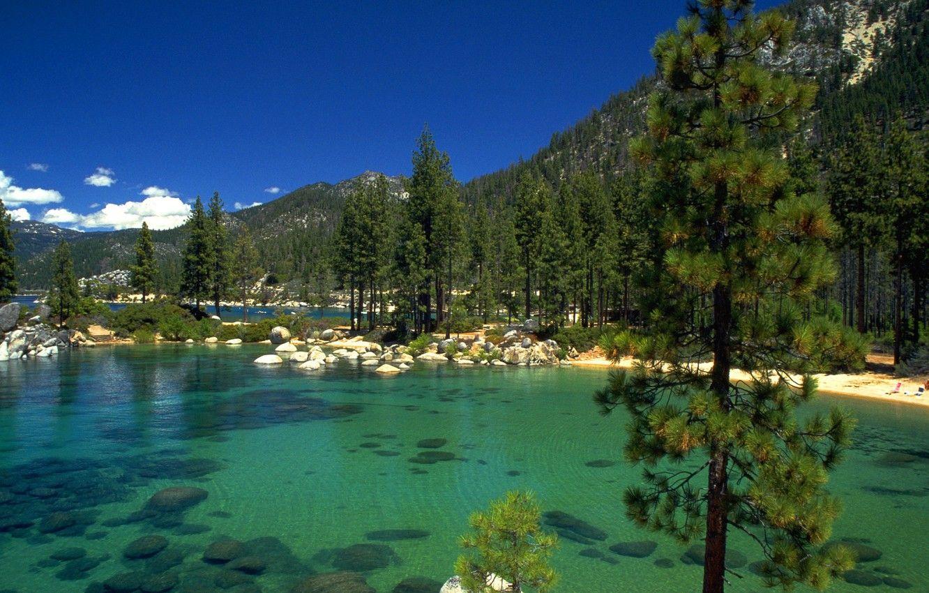 1332x850 Wallpaper forest, lake, stones, California, lake Tahoe