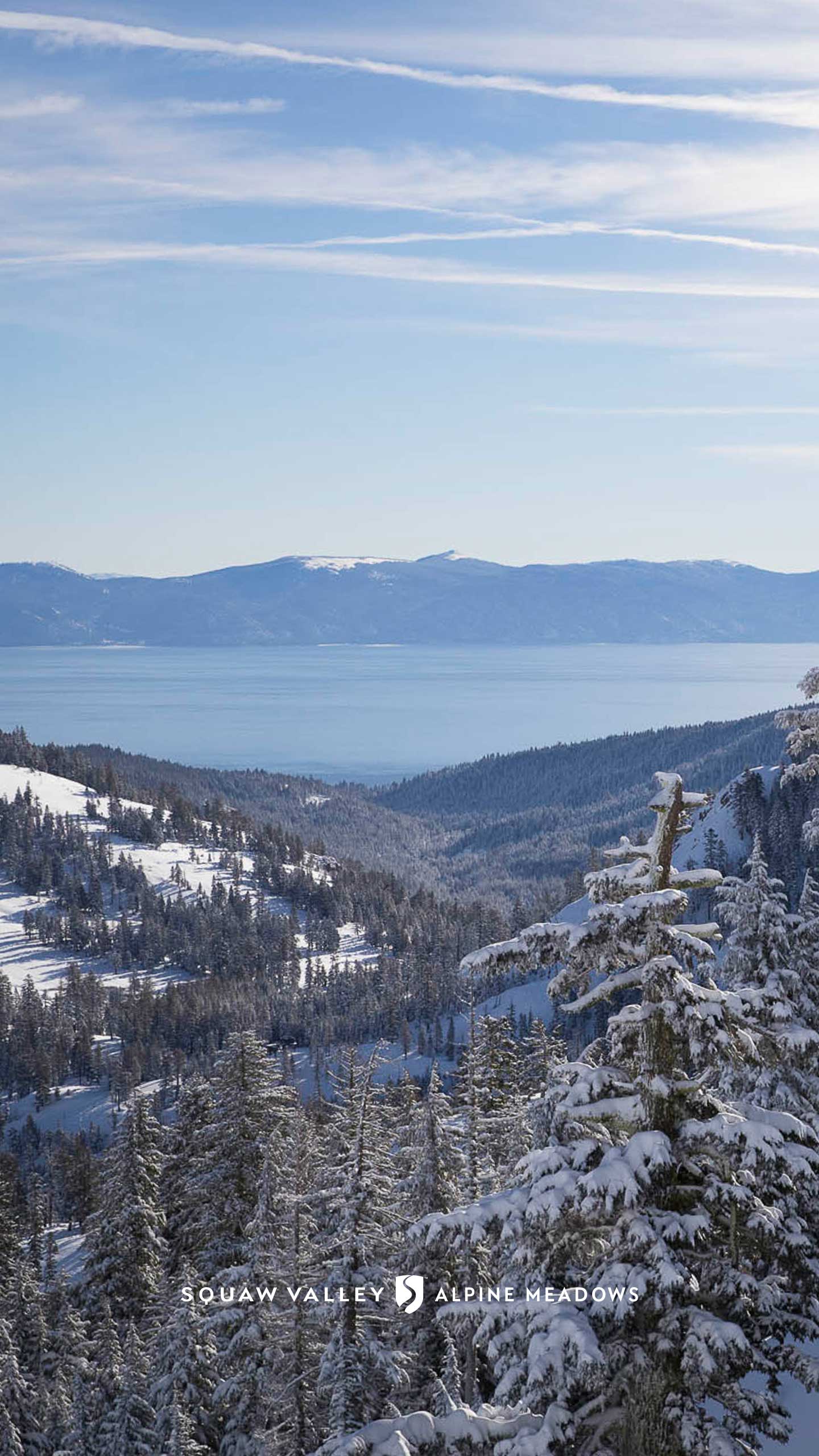 1440x2560 Download Squaw Valley Alpine Meadows Wallpaper