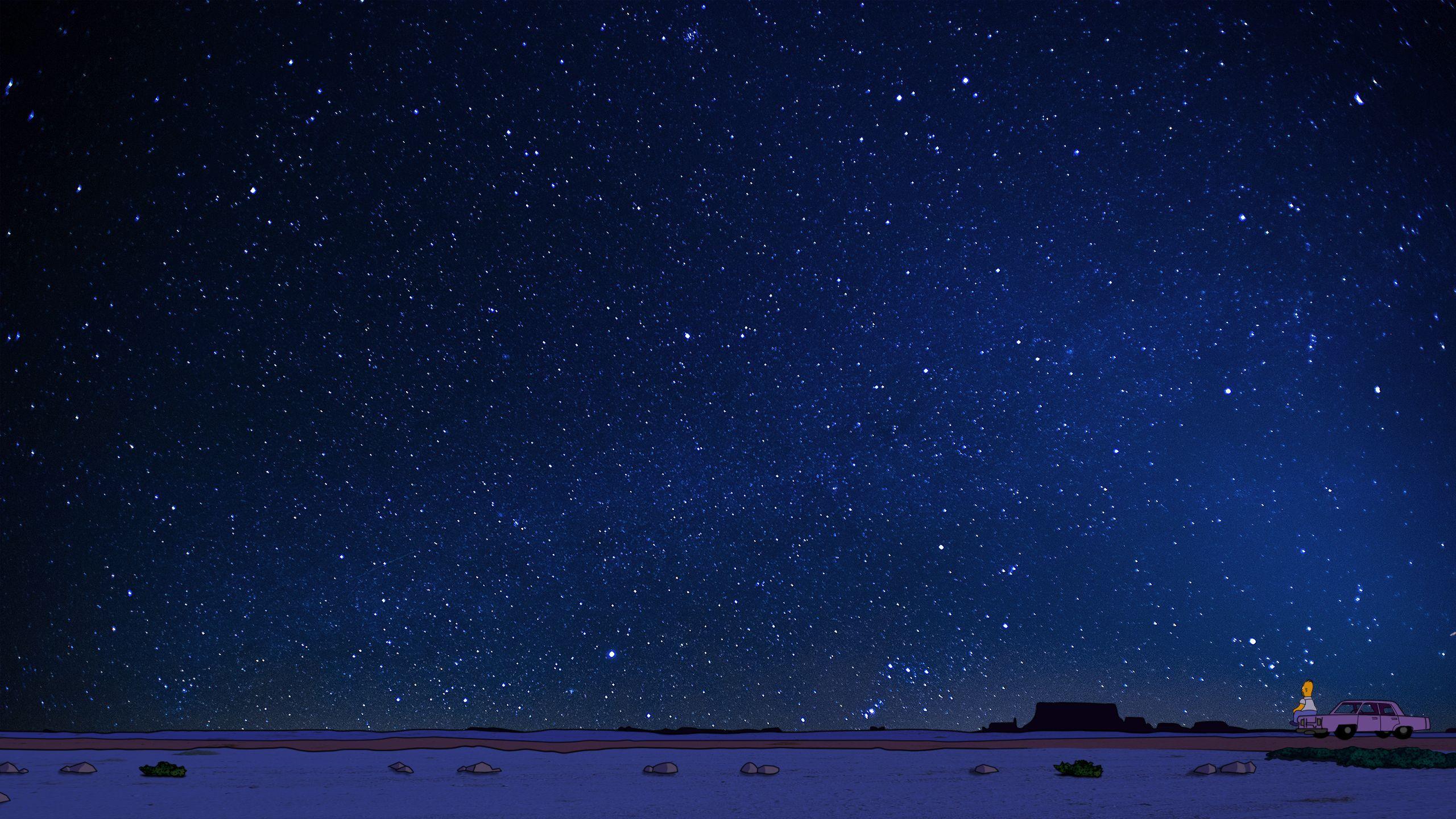 2560x1440 Hình nền Homer Simpson Dưới bầu trời đêm
