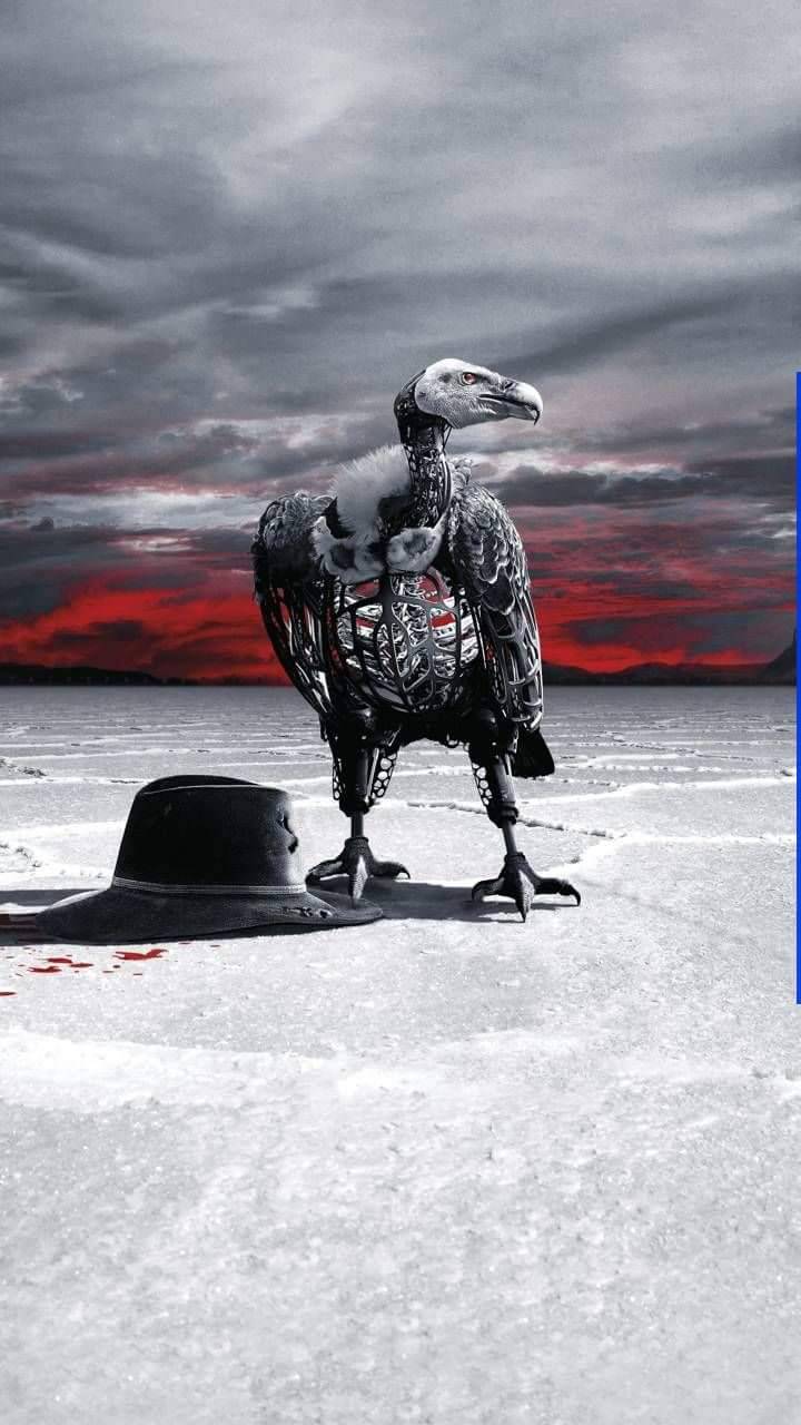 720x1280 Vulture Wallpaper
