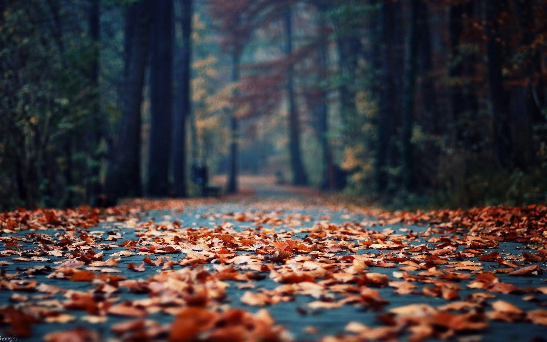 1920x1200 Serene Scene [1920x1200]