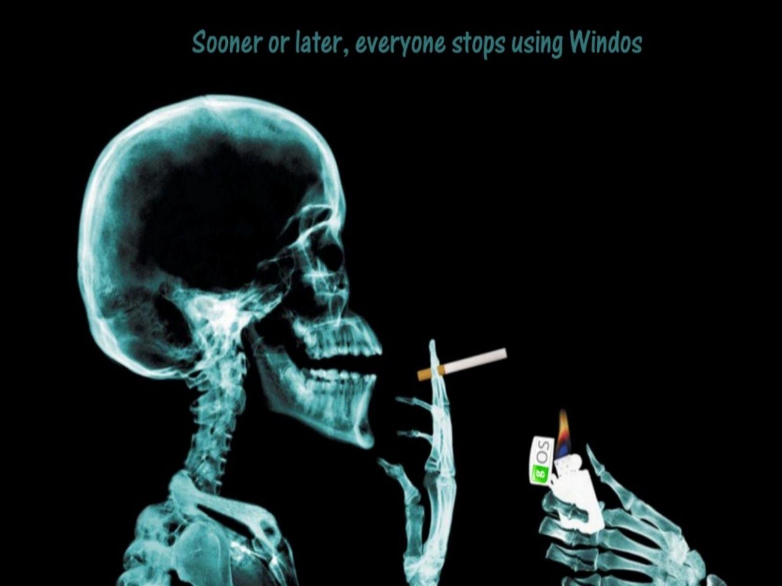 1600x1200 veryfunnywallpaper: Great Funny Wallpaper Home iPhone